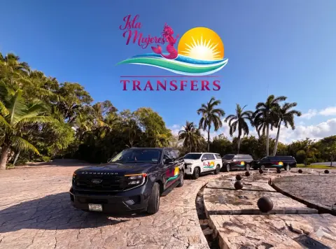 Isla Mujeres Transfers SUVs parked beside palm trees